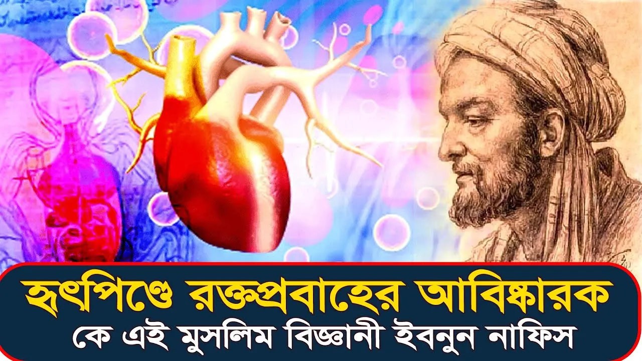 হৃৎপিণ্ডে রক্তপ্রবাহের আবিষ্কারক | কে এই মুসলিম বিজ্ঞানী ইবনুন নাফিস? | মুসলিম মনীষীদের অবদান
