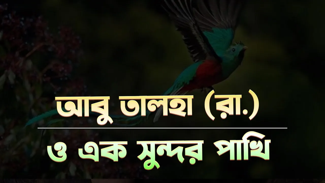 আবু তালহা ও এক সুন্দর পাখি | সাহাবীদের গল্প